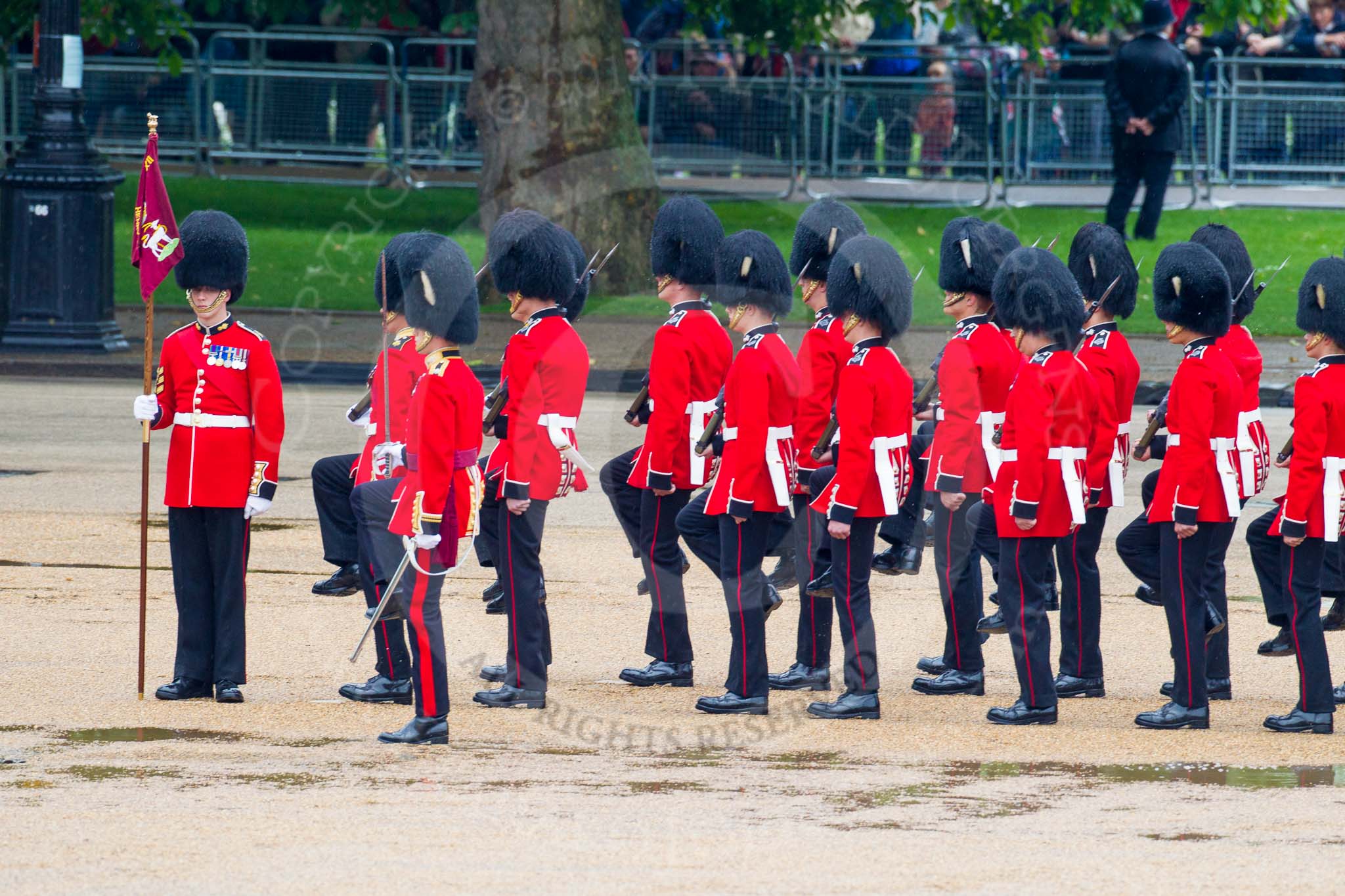 The Colonel's Review 2014.
Horse Guards Parade, Westminster,
London,

United Kingdom,
on 07 June 2014 at 11:26, image #446