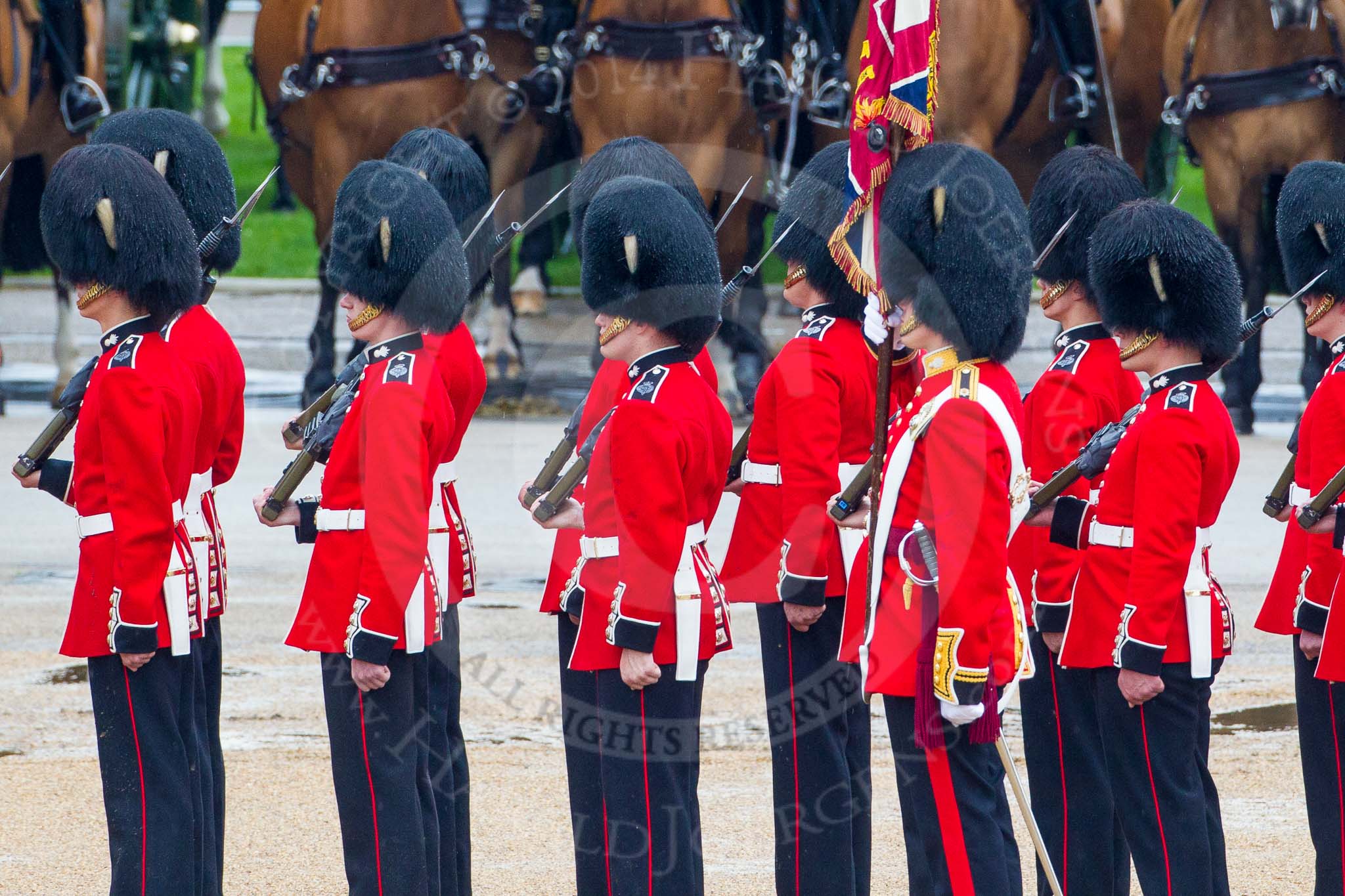 The Colonel's Review 2014.
Horse Guards Parade, Westminster,
London,

United Kingdom,
on 07 June 2014 at 11:27, image #448