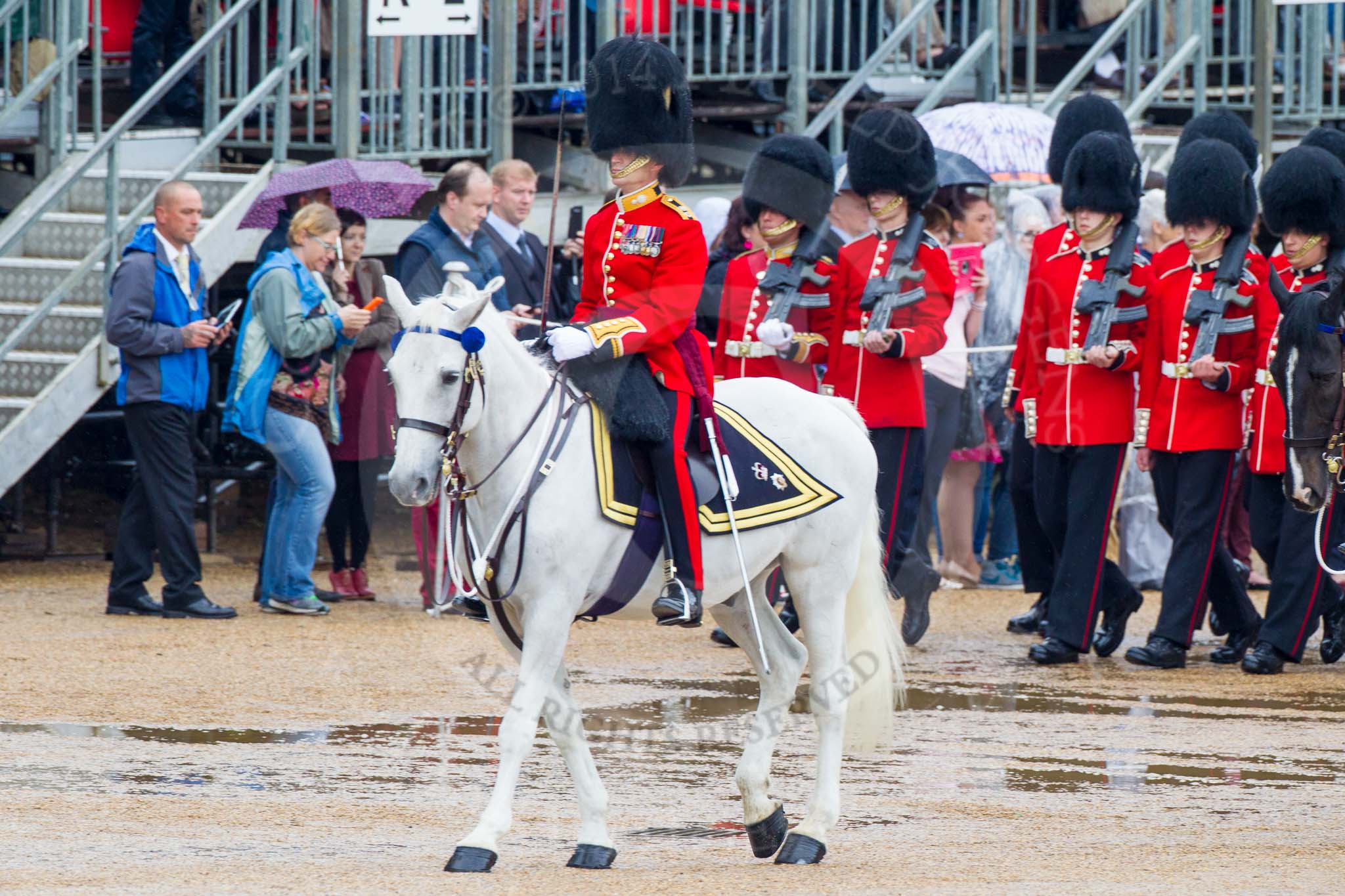 The Colonel's Review 2014.
Horse Guards Parade, Westminster,
London,

United Kingdom,
on 07 June 2014 at 11:32, image #469