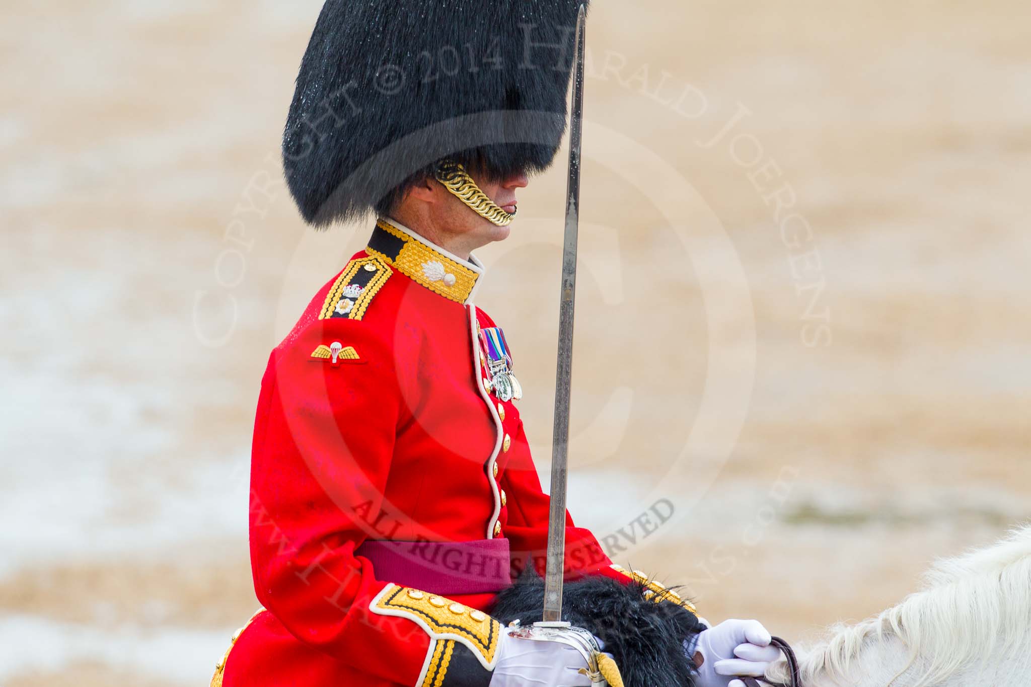 The Colonel's Review 2014.
Horse Guards Parade, Westminster,
London,

United Kingdom,
on 07 June 2014 at 11:34, image #491