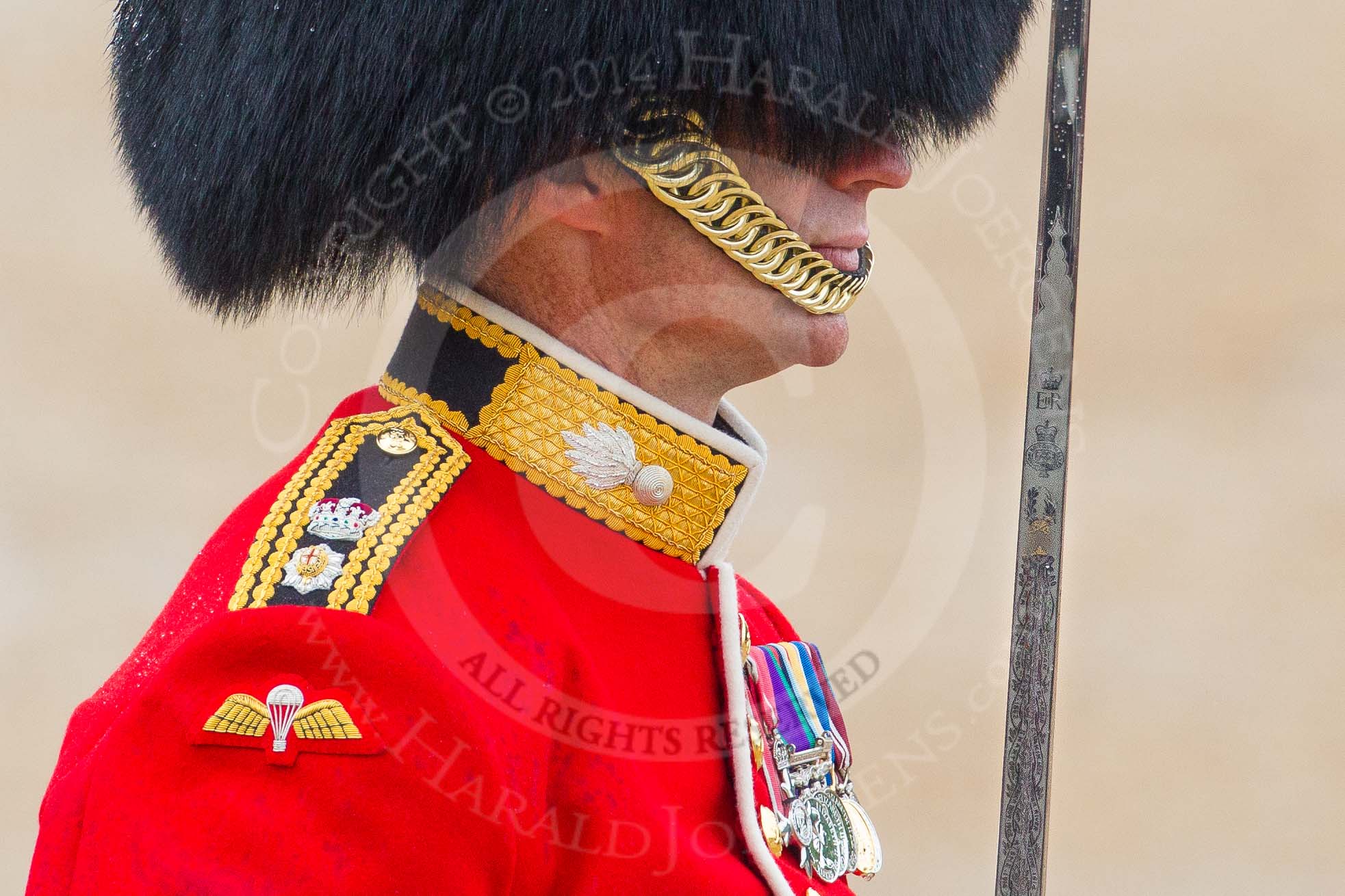 The Colonel's Review 2014.
Horse Guards Parade, Westminster,
London,

United Kingdom,
on 07 June 2014 at 11:34, image #492