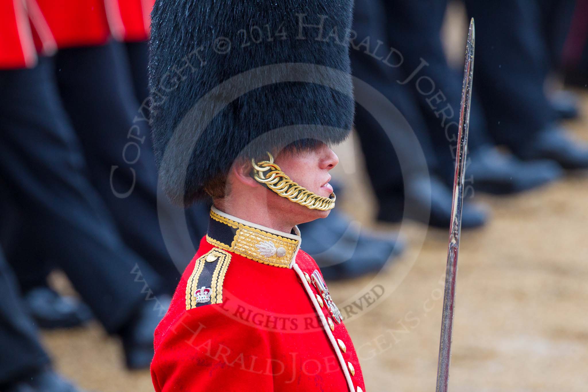 The Colonel's Review 2014.
Horse Guards Parade, Westminster,
London,

United Kingdom,
on 07 June 2014 at 11:35, image #499