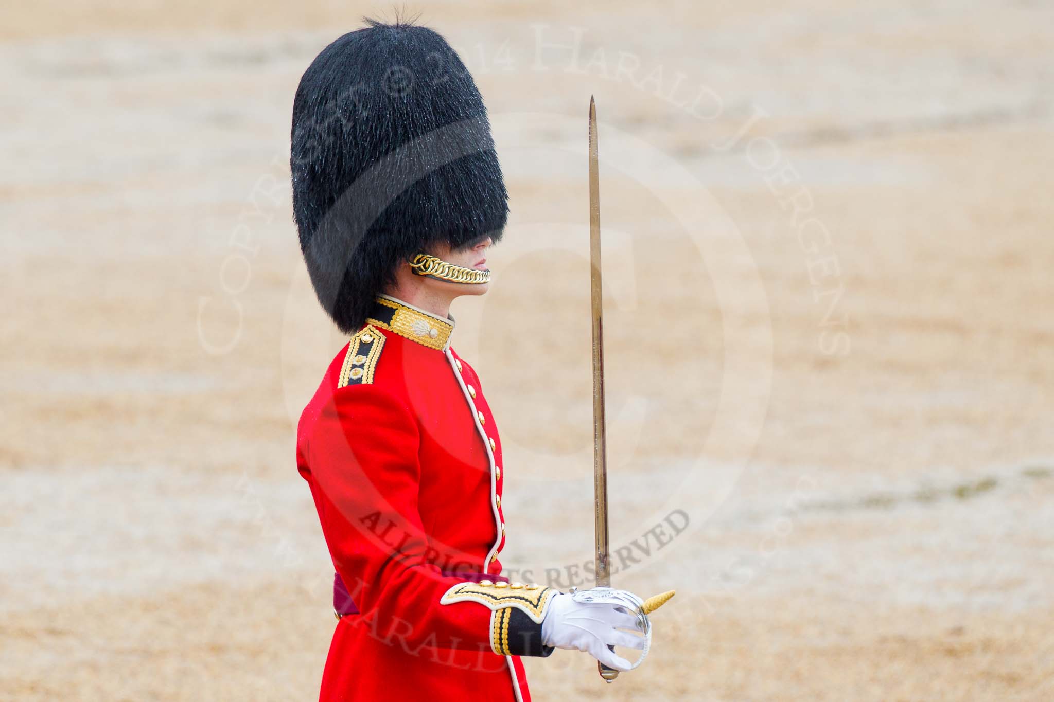 The Colonel's Review 2014.
Horse Guards Parade, Westminster,
London,

United Kingdom,
on 07 June 2014 at 11:35, image #503
