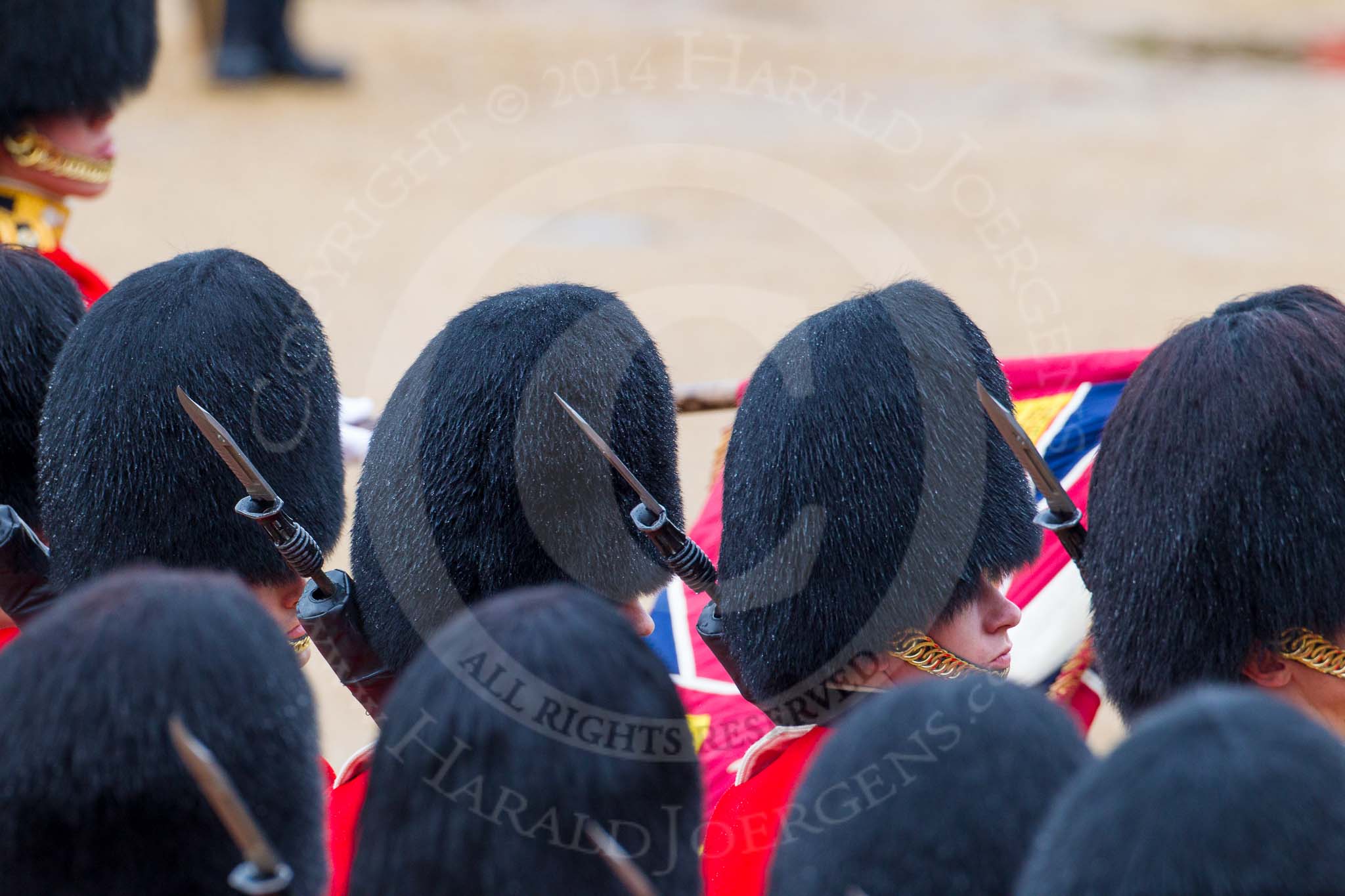 The Colonel's Review 2014.
Horse Guards Parade, Westminster,
London,

United Kingdom,
on 07 June 2014 at 11:35, image #505