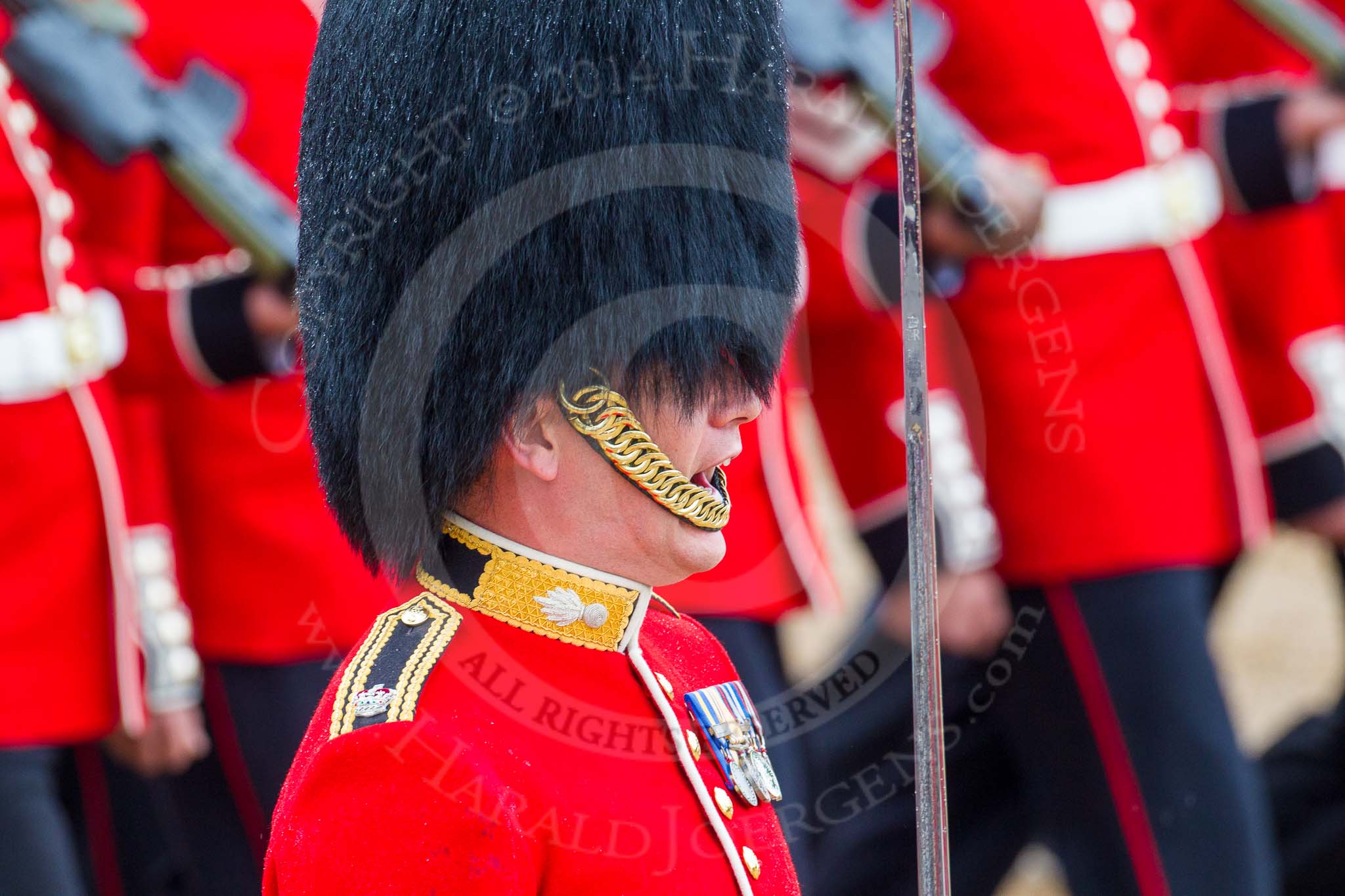 The Colonel's Review 2014.
Horse Guards Parade, Westminster,
London,

United Kingdom,
on 07 June 2014 at 11:36, image #512