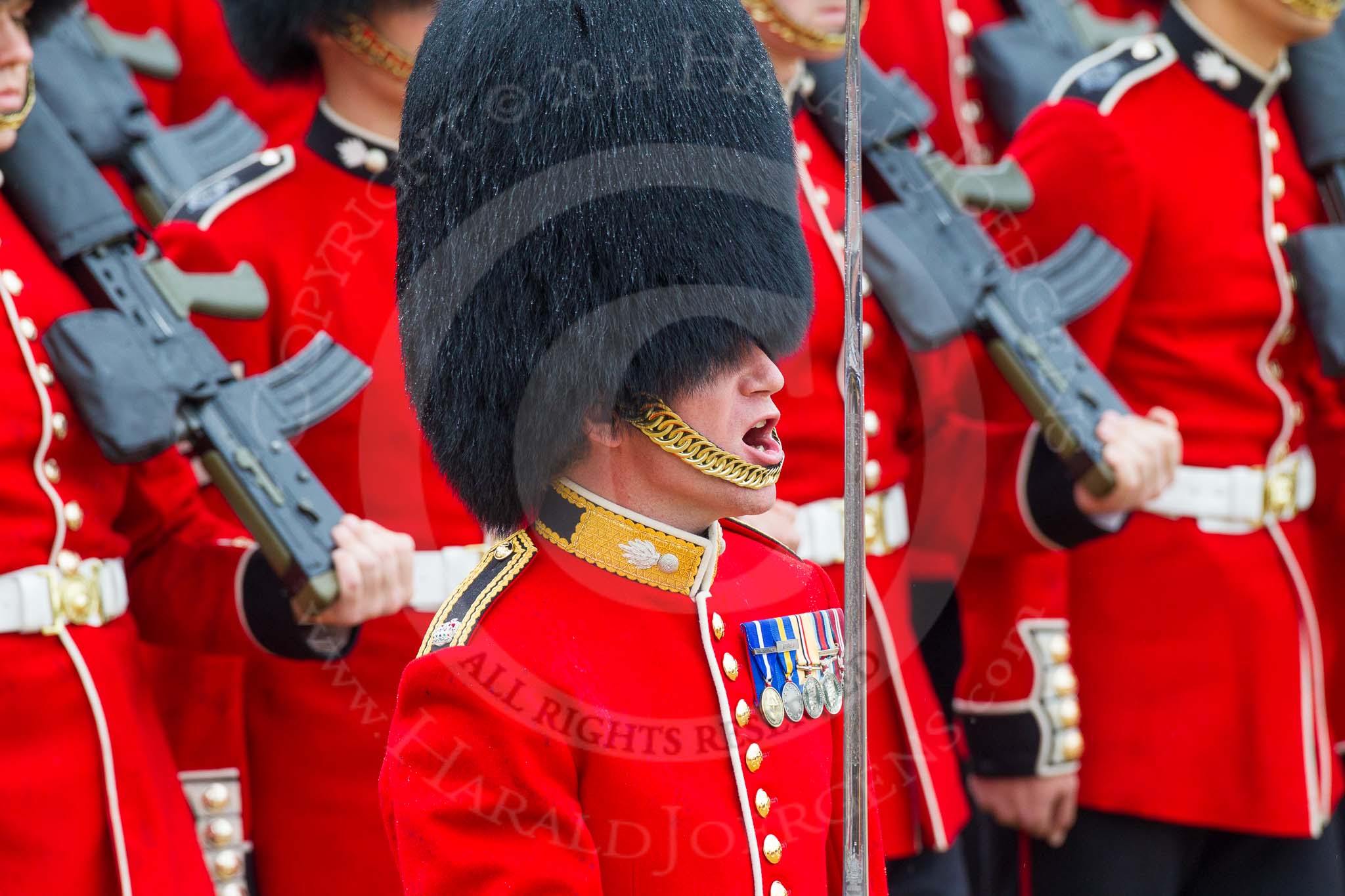 The Colonel's Review 2014.
Horse Guards Parade, Westminster,
London,

United Kingdom,
on 07 June 2014 at 11:36, image #514