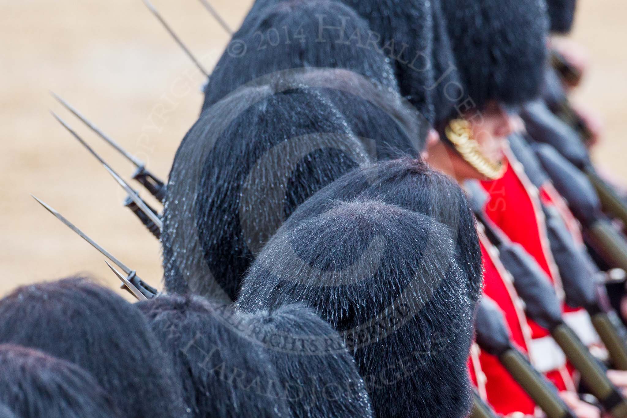 The Colonel's Review 2014.
Horse Guards Parade, Westminster,
London,

United Kingdom,
on 07 June 2014 at 11:36, image #518