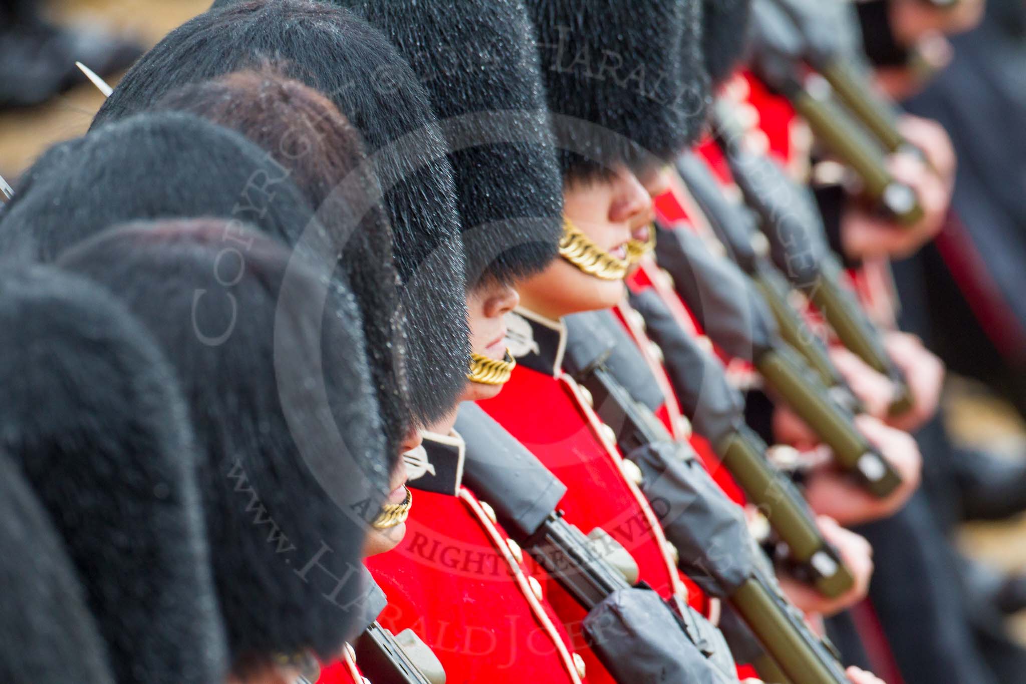 The Colonel's Review 2014.
Horse Guards Parade, Westminster,
London,

United Kingdom,
on 07 June 2014 at 11:37, image #520