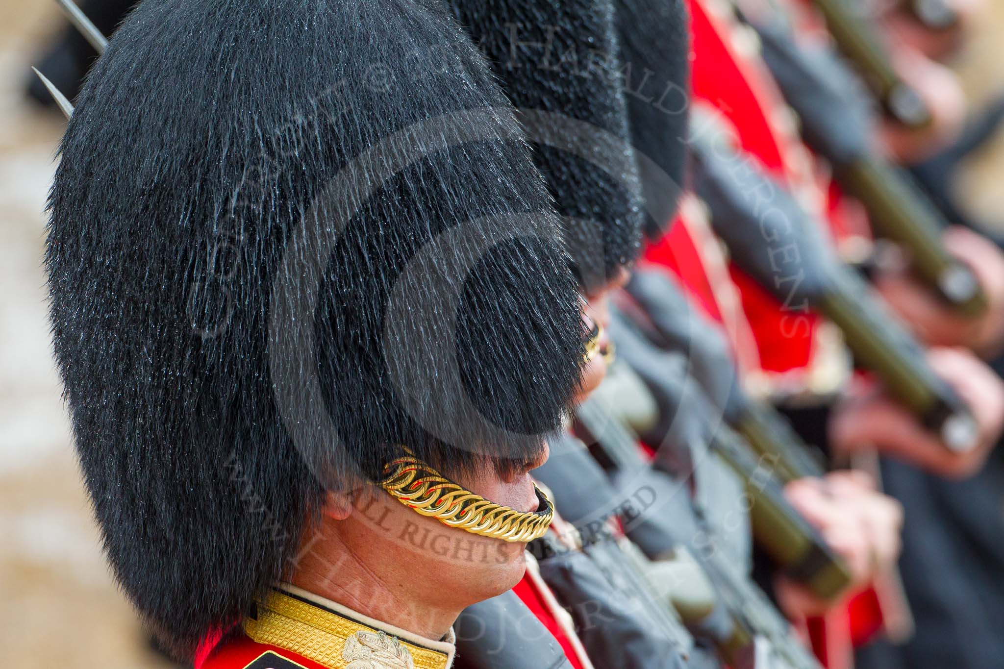 The Colonel's Review 2014.
Horse Guards Parade, Westminster,
London,

United Kingdom,
on 07 June 2014 at 11:37, image #521