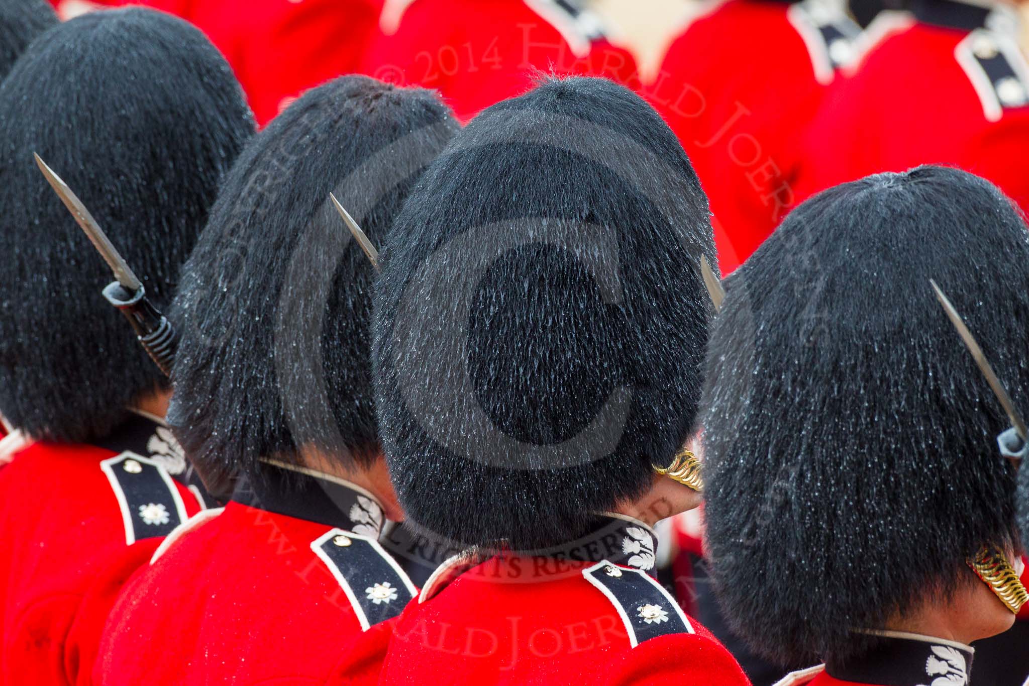 The Colonel's Review 2014.
Horse Guards Parade, Westminster,
London,

United Kingdom,
on 07 June 2014 at 11:37, image #522