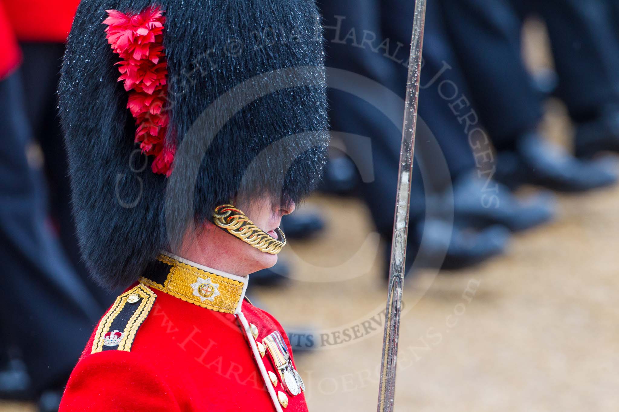 The Colonel's Review 2014.
Horse Guards Parade, Westminster,
London,

United Kingdom,
on 07 June 2014 at 11:37, image #523