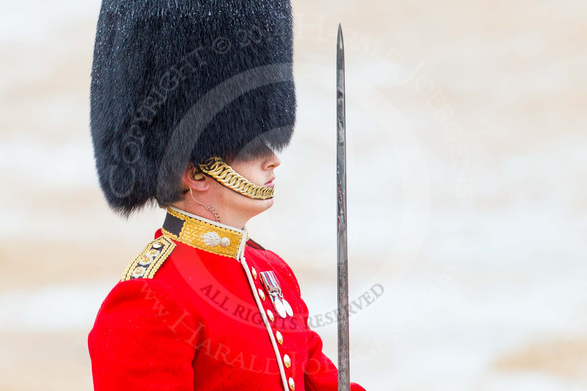 The Colonel's Review 2014.
Horse Guards Parade, Westminster,
London,

United Kingdom,
on 07 June 2014 at 11:37, image #525