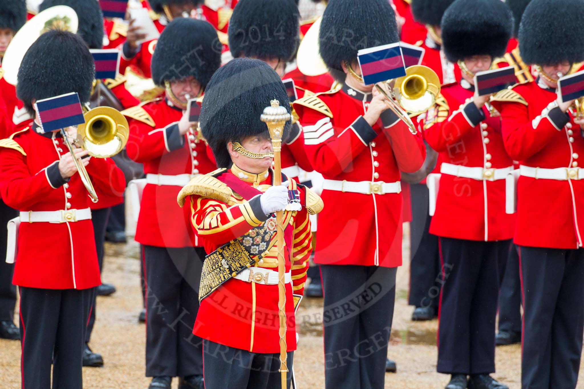The Colonel's Review 2014.
Horse Guards Parade, Westminster,
London,

United Kingdom,
on 07 June 2014 at 11:38, image #526