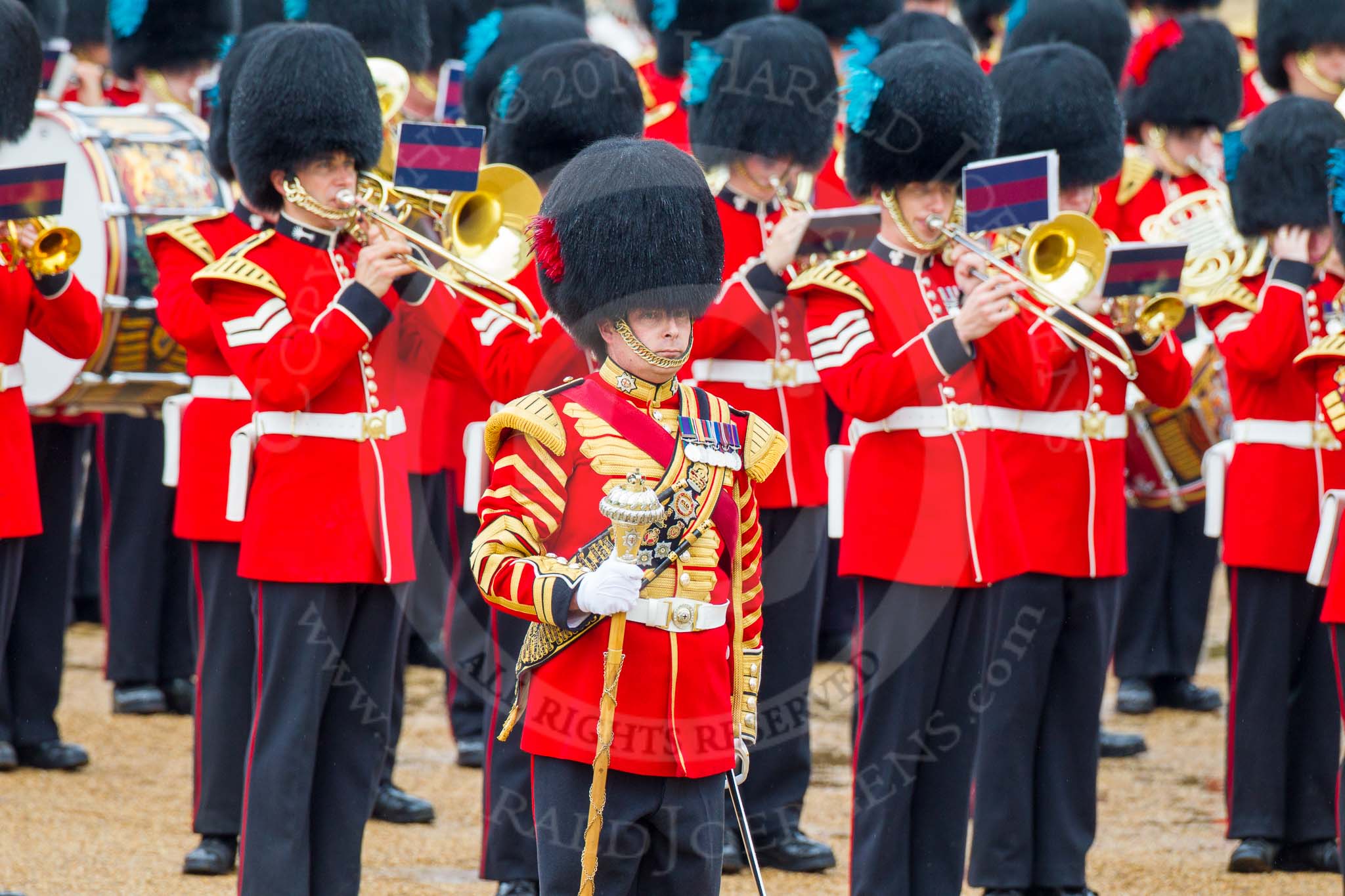 The Colonel's Review 2014.
Horse Guards Parade, Westminster,
London,

United Kingdom,
on 07 June 2014 at 11:38, image #528