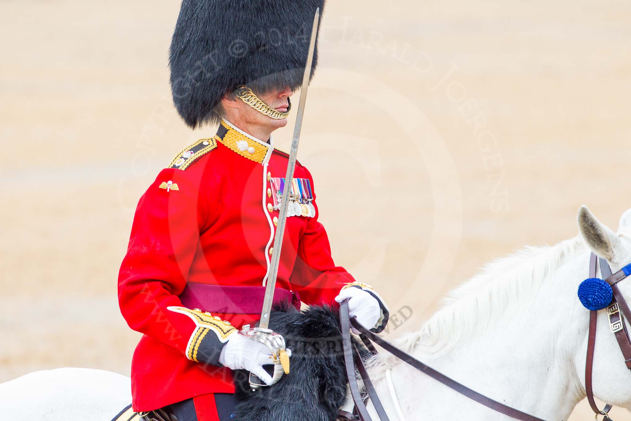 The Colonel's Review 2014.
Horse Guards Parade, Westminster,
London,

United Kingdom,
on 07 June 2014 at 11:38, image #531