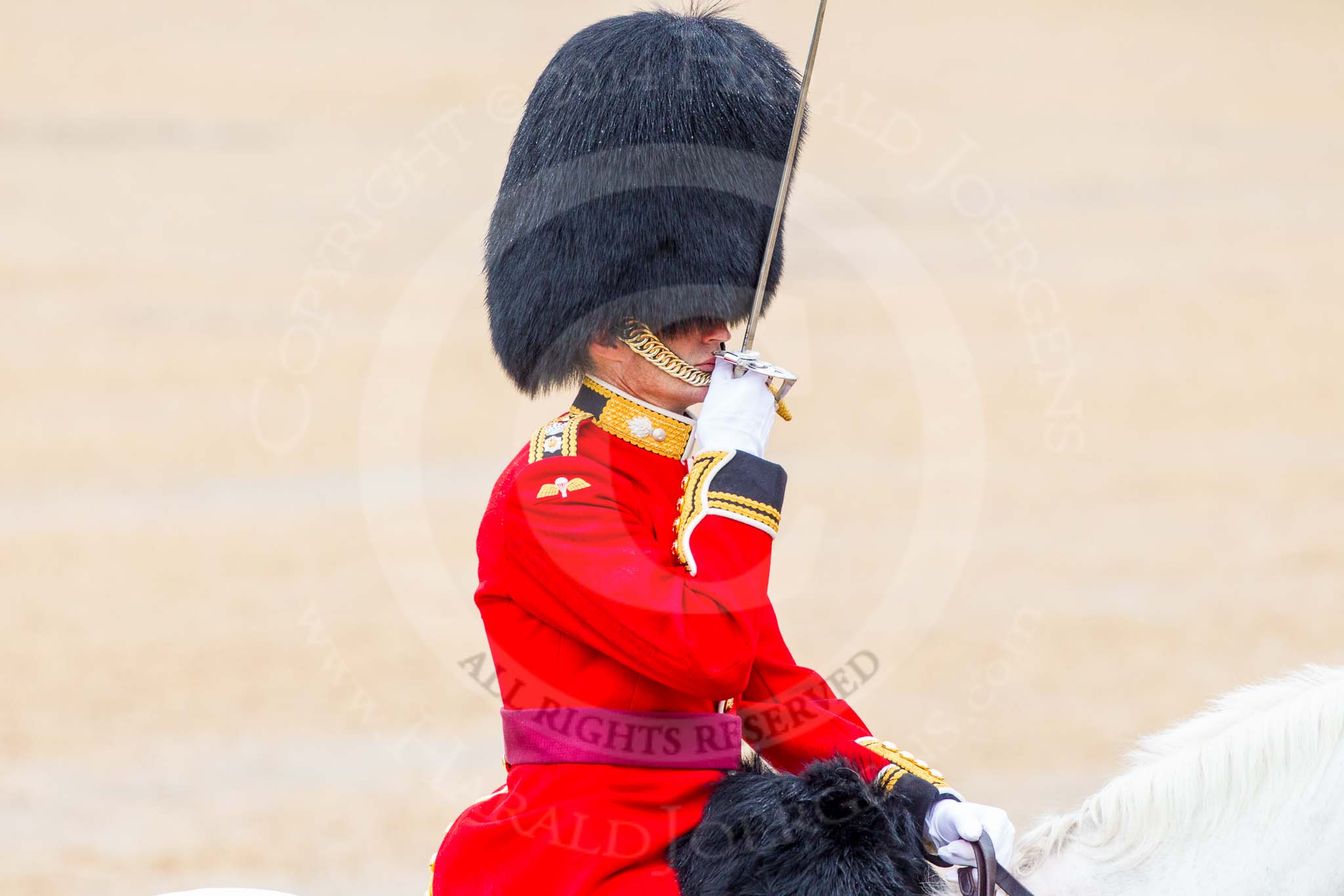 The Colonel's Review 2014.
Horse Guards Parade, Westminster,
London,

United Kingdom,
on 07 June 2014 at 11:38, image #532