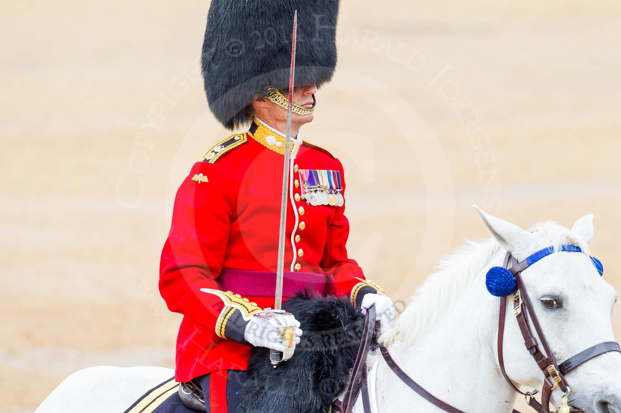 The Colonel's Review 2014.
Horse Guards Parade, Westminster,
London,

United Kingdom,
on 07 June 2014 at 11:38, image #534