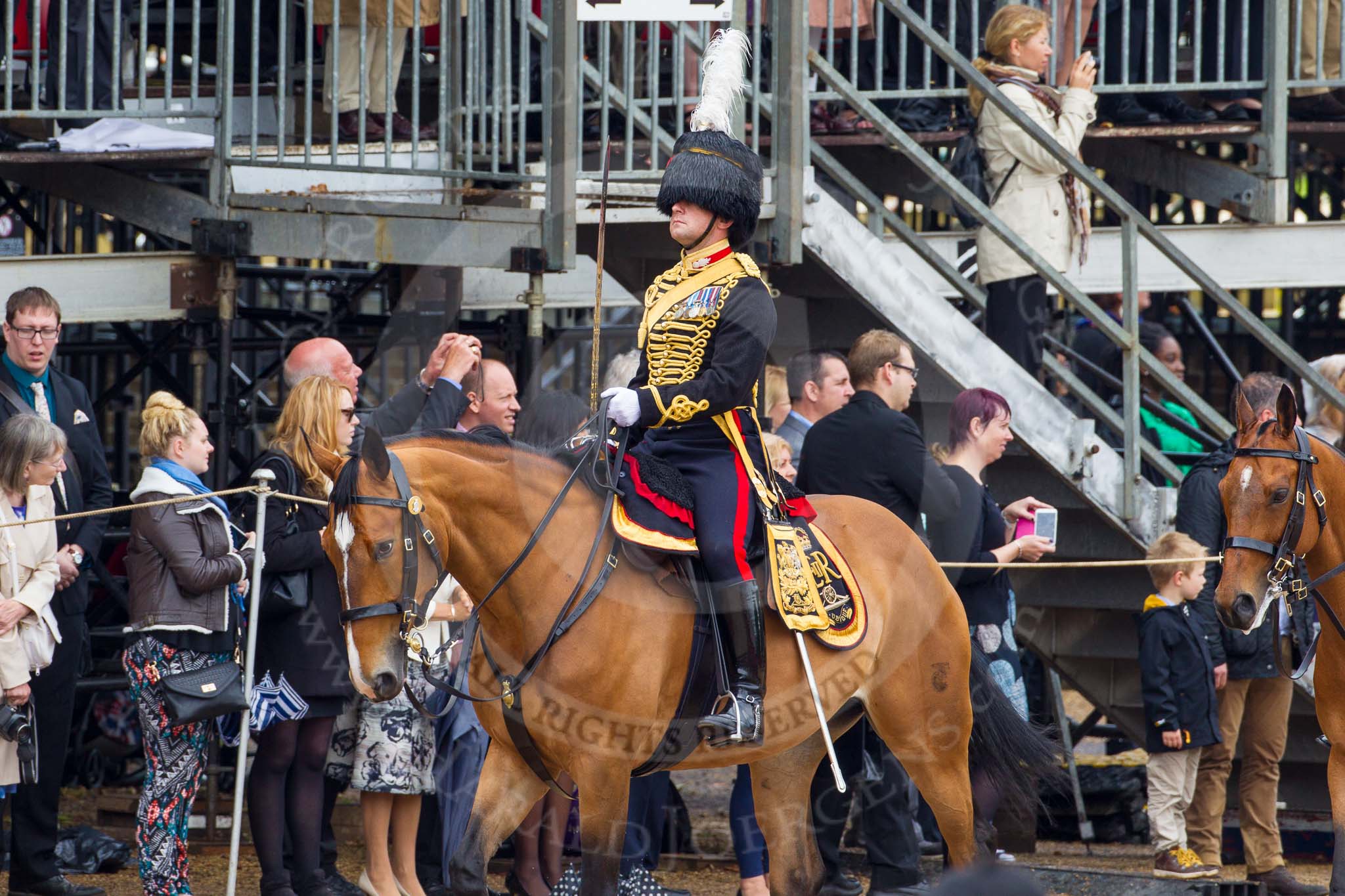 The Colonel's Review 2014.
Horse Guards Parade, Westminster,
London,

United Kingdom,
on 07 June 2014 at 11:52, image #595