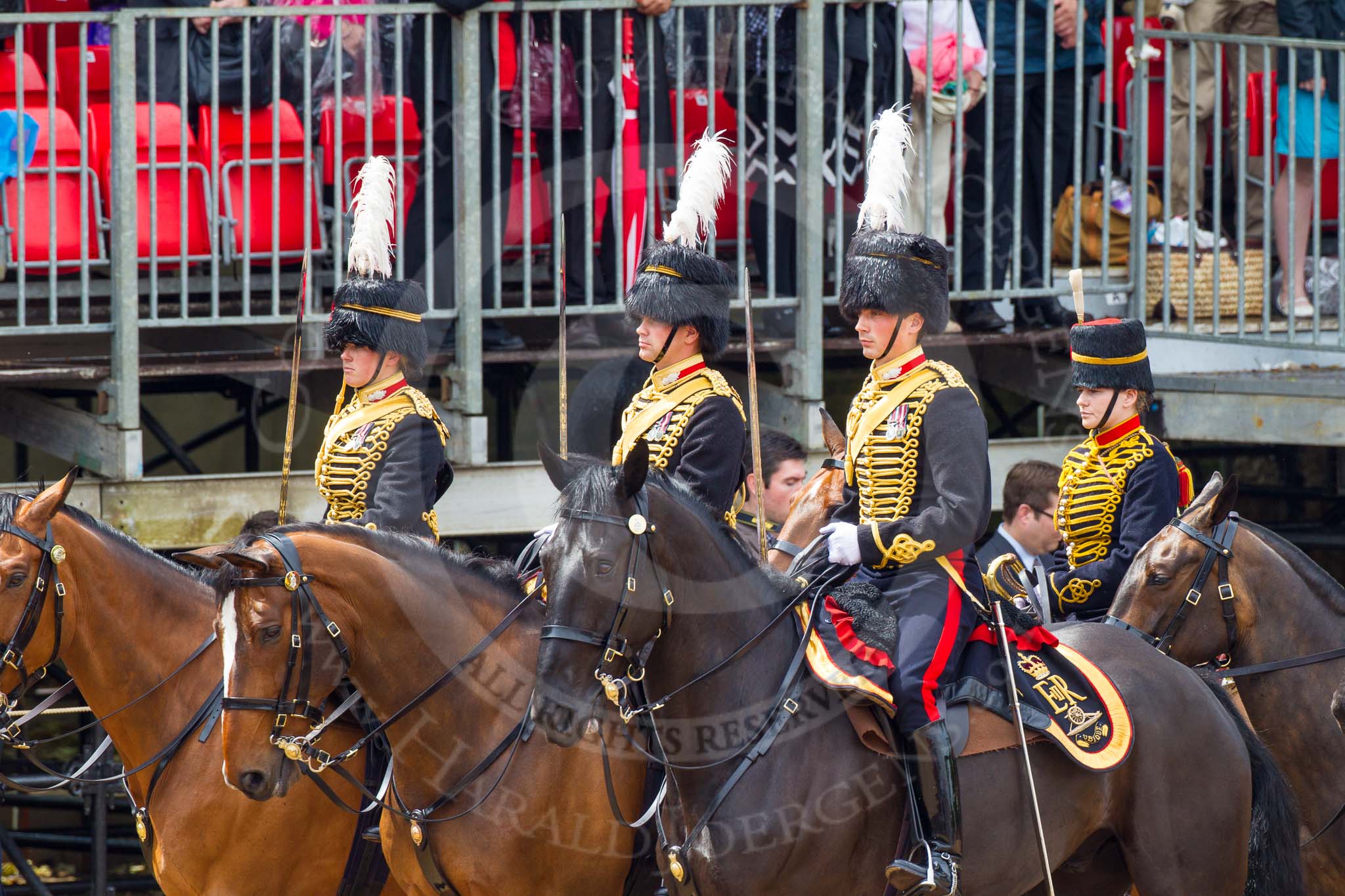 The Colonel's Review 2014.
Horse Guards Parade, Westminster,
London,

United Kingdom,
on 07 June 2014 at 11:52, image #597