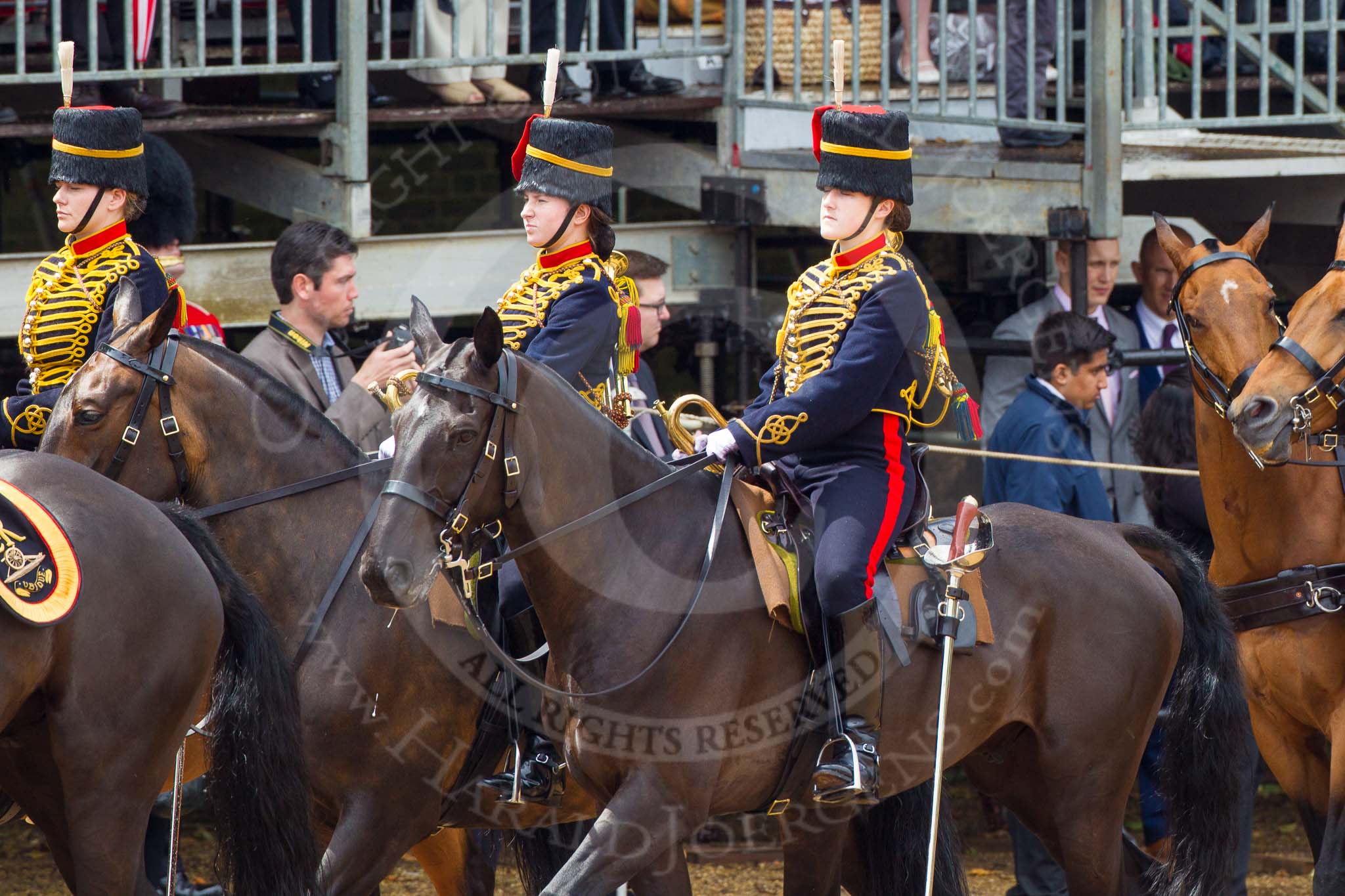 The Colonel's Review 2014.
Horse Guards Parade, Westminster,
London,

United Kingdom,
on 07 June 2014 at 11:52, image #598