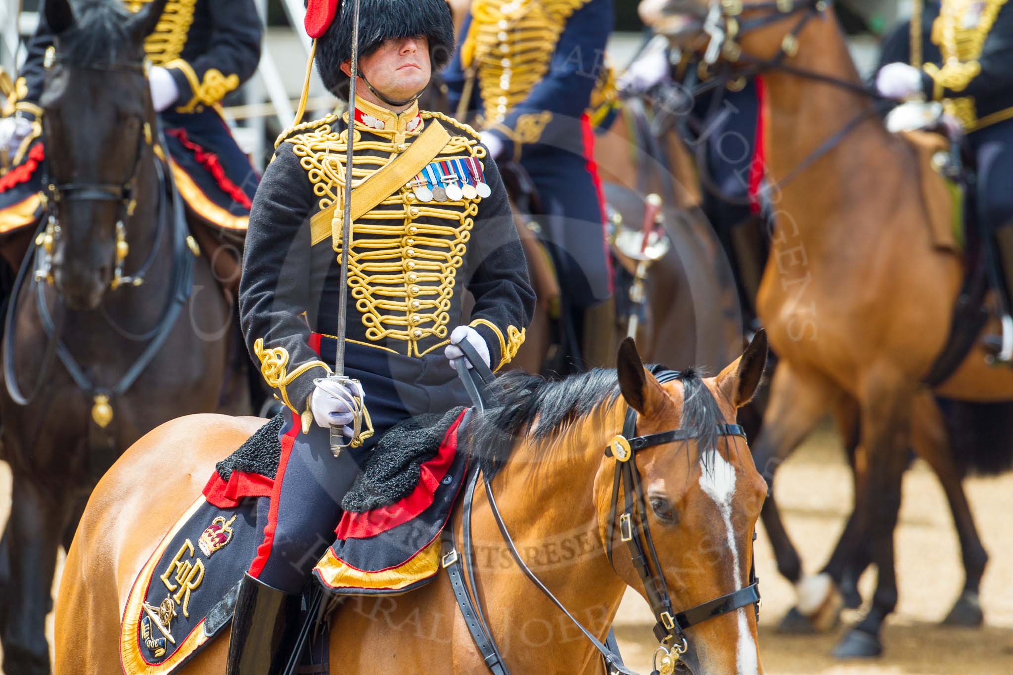 The Colonel's Review 2014.
Horse Guards Parade, Westminster,
London,

United Kingdom,
on 07 June 2014 at 11:52, image #601