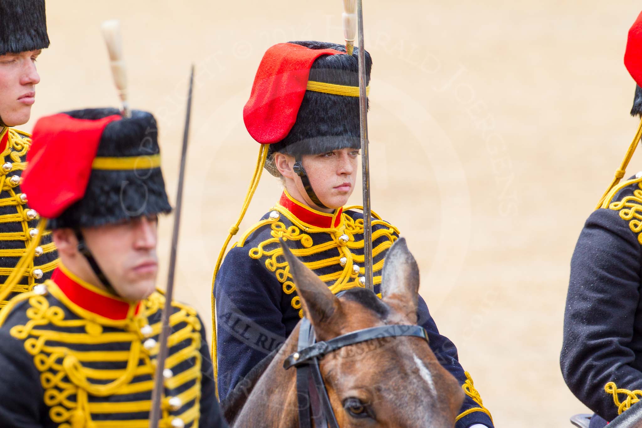 The Colonel's Review 2014.
Horse Guards Parade, Westminster,
London,

United Kingdom,
on 07 June 2014 at 11:53, image #613