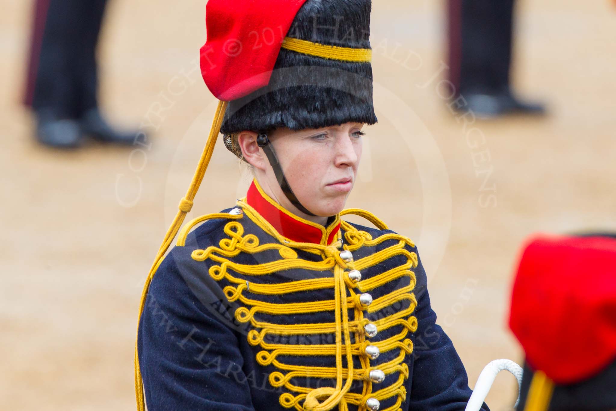 The Colonel's Review 2014.
Horse Guards Parade, Westminster,
London,

United Kingdom,
on 07 June 2014 at 11:53, image #615