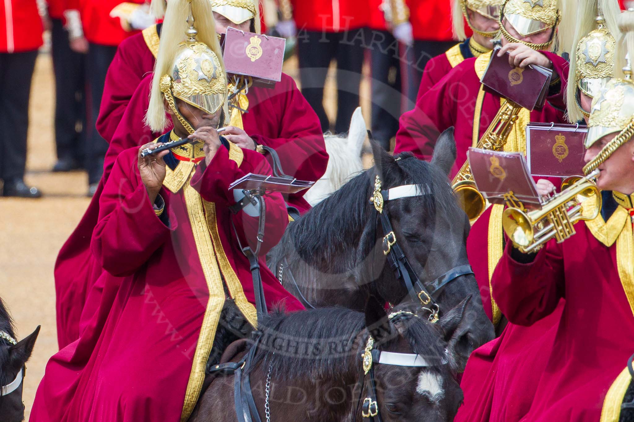 The Colonel's Review 2014.
Horse Guards Parade, Westminster,
London,

United Kingdom,
on 07 June 2014 at 11:56, image #643