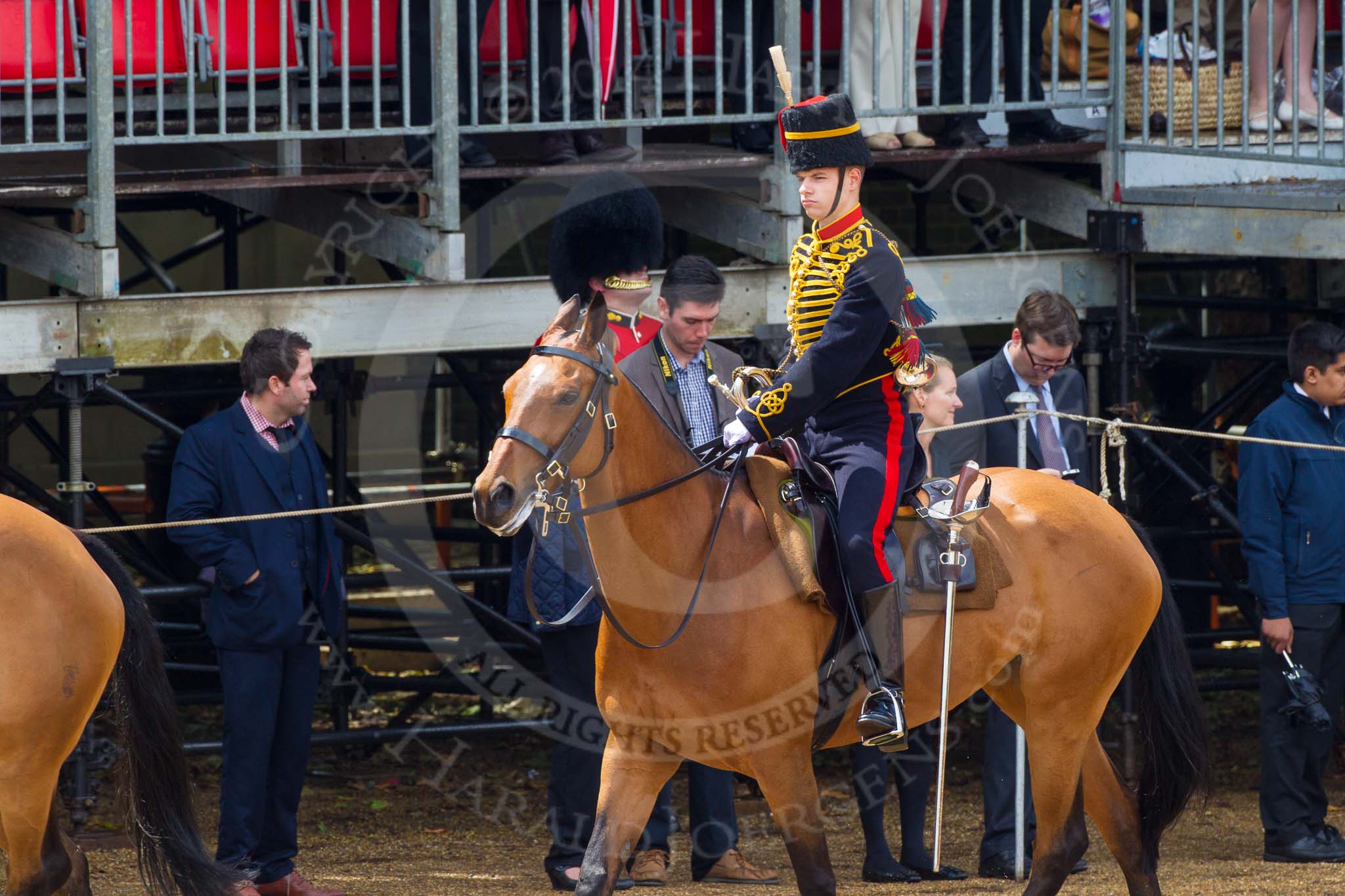 The Colonel's Review 2014.
Horse Guards Parade, Westminster,
London,

United Kingdom,
on 07 June 2014 at 11:57, image #650
