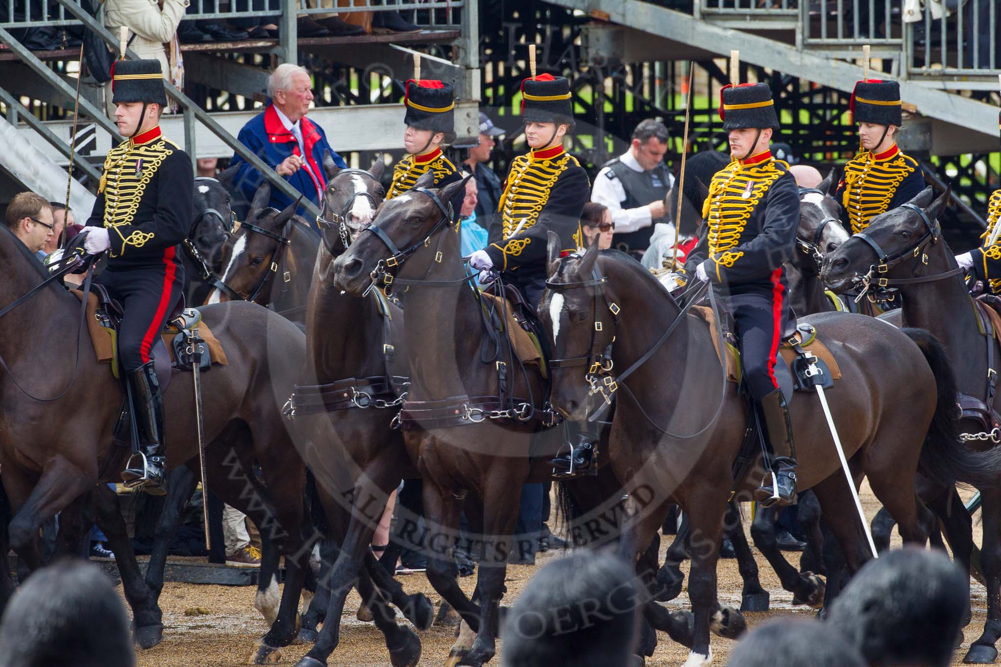 The Colonel's Review 2014.
Horse Guards Parade, Westminster,
London,

United Kingdom,
on 07 June 2014 at 11:57, image #659