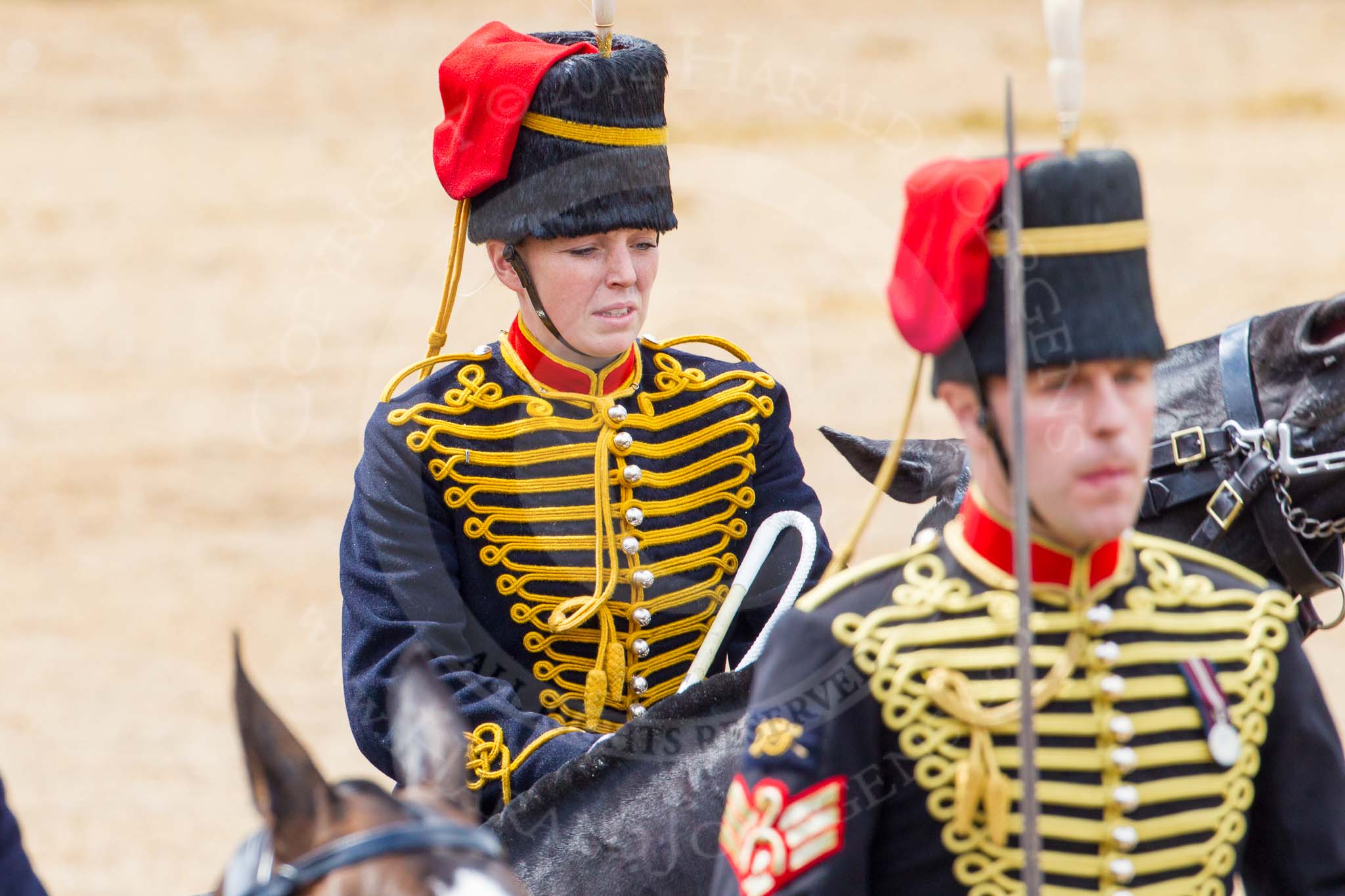The Colonel's Review 2014.
Horse Guards Parade, Westminster,
London,

United Kingdom,
on 07 June 2014 at 11:57, image #666