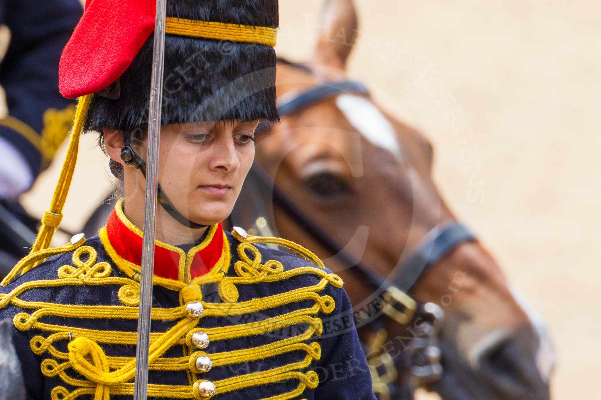 The Colonel's Review 2014.
Horse Guards Parade, Westminster,
London,

United Kingdom,
on 07 June 2014 at 11:57, image #668