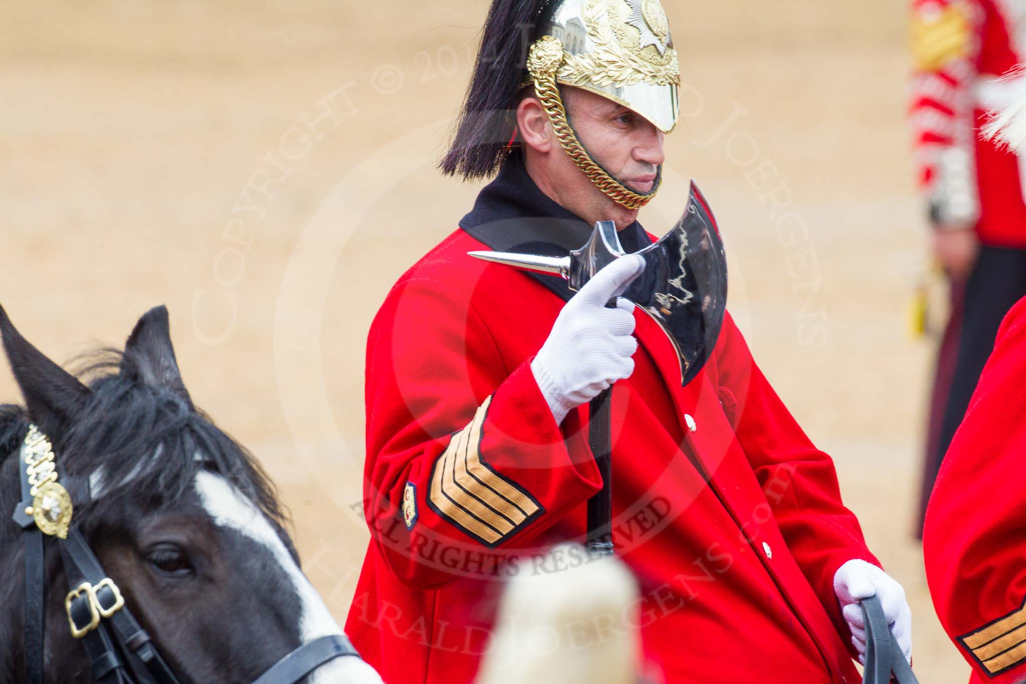 The Colonel's Review 2014.
Horse Guards Parade, Westminster,
London,

United Kingdom,
on 07 June 2014 at 11:58, image #677
