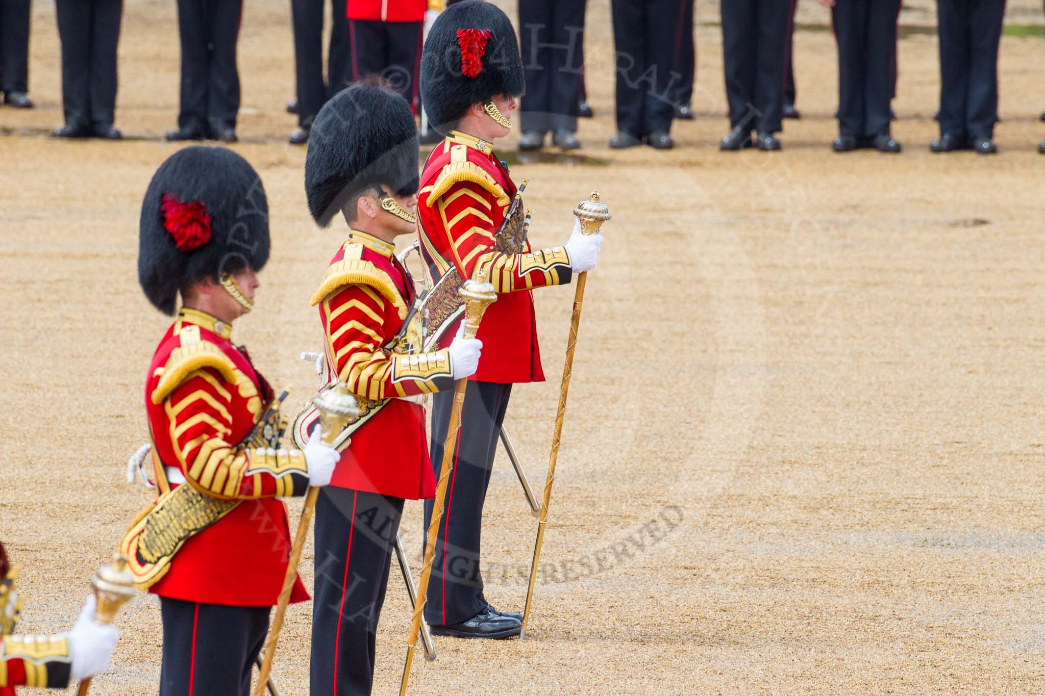 The Colonel's Review 2014.
Horse Guards Parade, Westminster,
London,

United Kingdom,
on 07 June 2014 at 12:00, image #686
