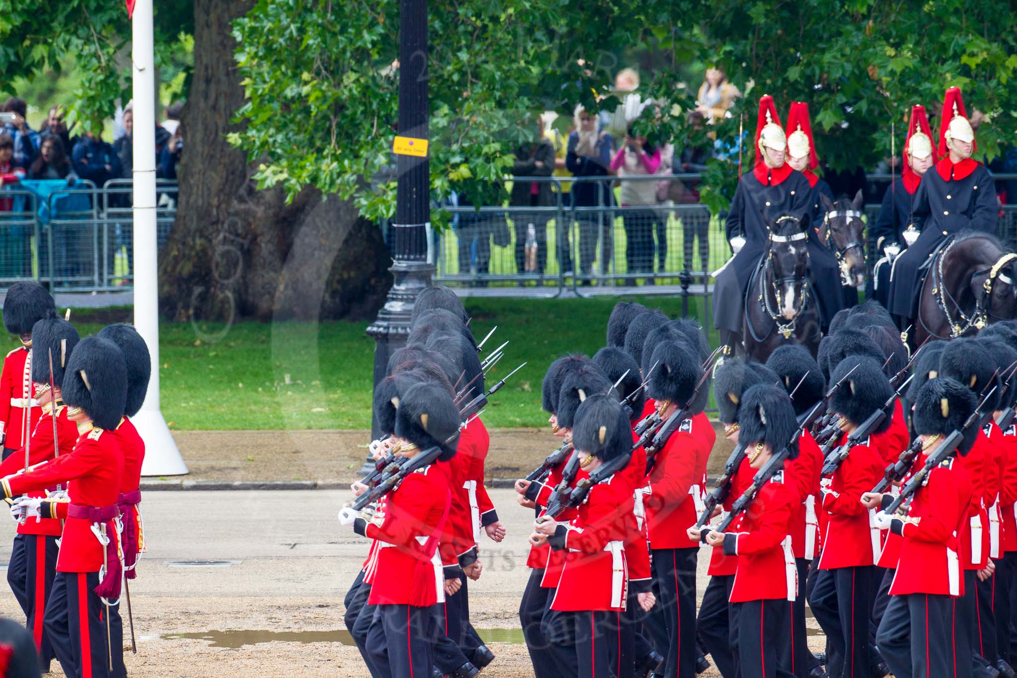 The Colonel's Review 2014.
Horse Guards Parade, Westminster,
London,

United Kingdom,
on 07 June 2014 at 12:04, image #698