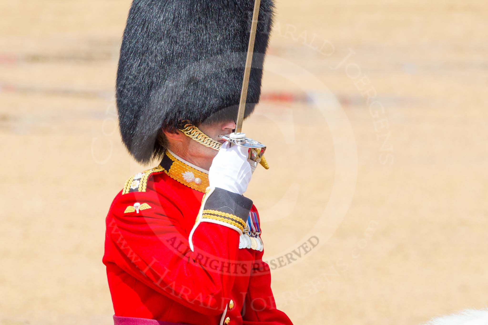 The Colonel's Review 2014.
Horse Guards Parade, Westminster,
London,

United Kingdom,
on 07 June 2014 at 12:06, image #705