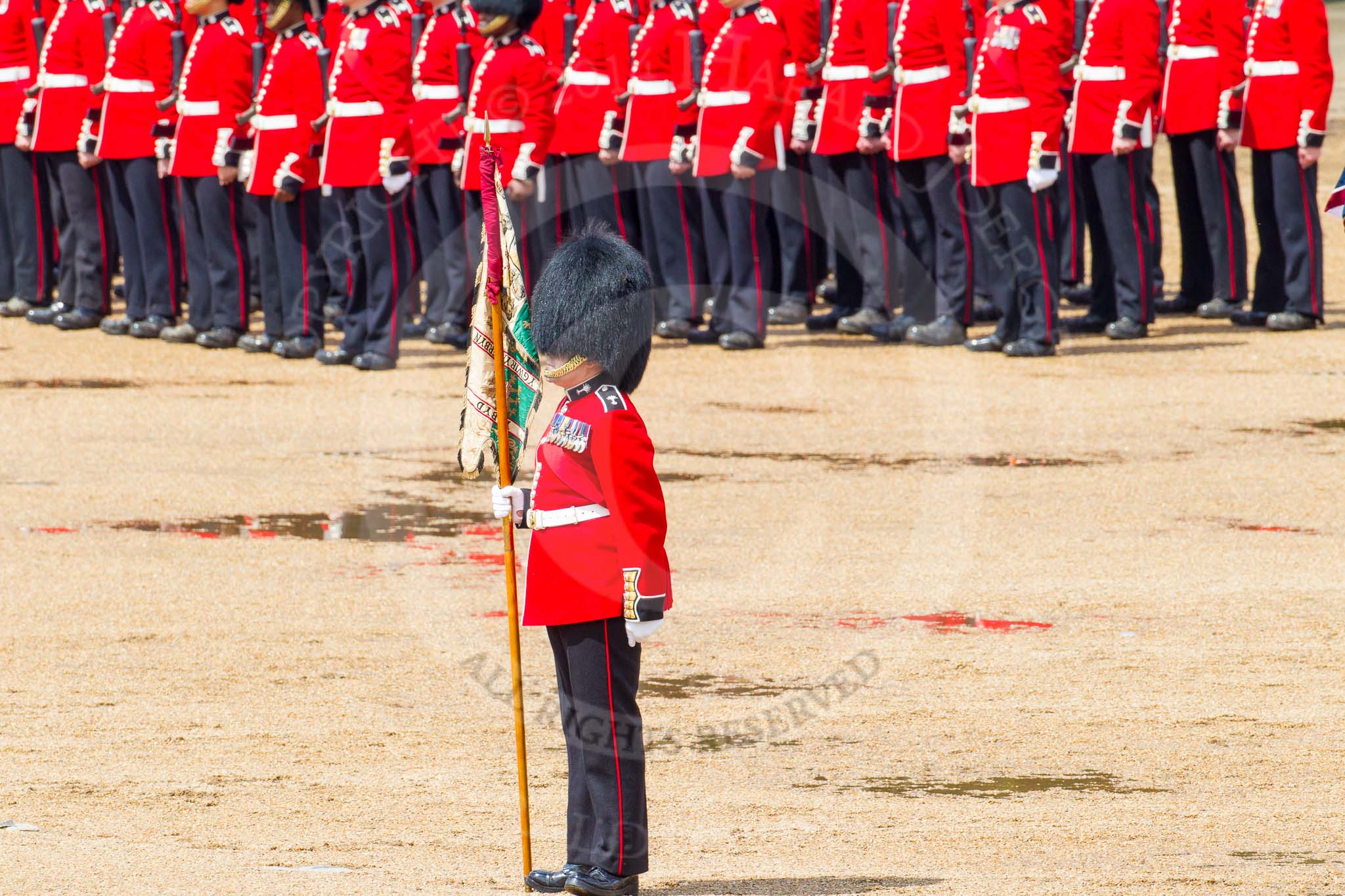 The Colonel's Review 2014.
Horse Guards Parade, Westminster,
London,

United Kingdom,
on 07 June 2014 at 12:07, image #707