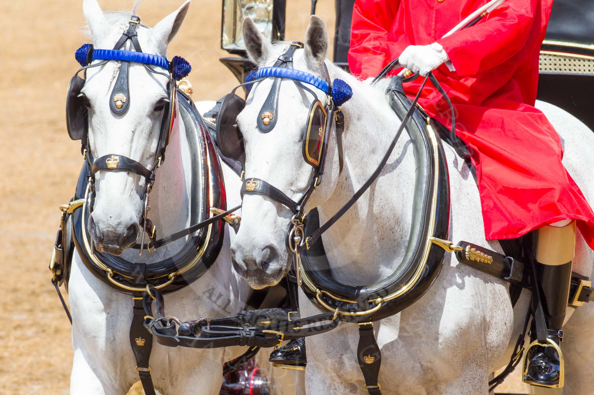 The Colonel's Review 2014.
Horse Guards Parade, Westminster,
London,

United Kingdom,
on 07 June 2014 at 12:08, image #710