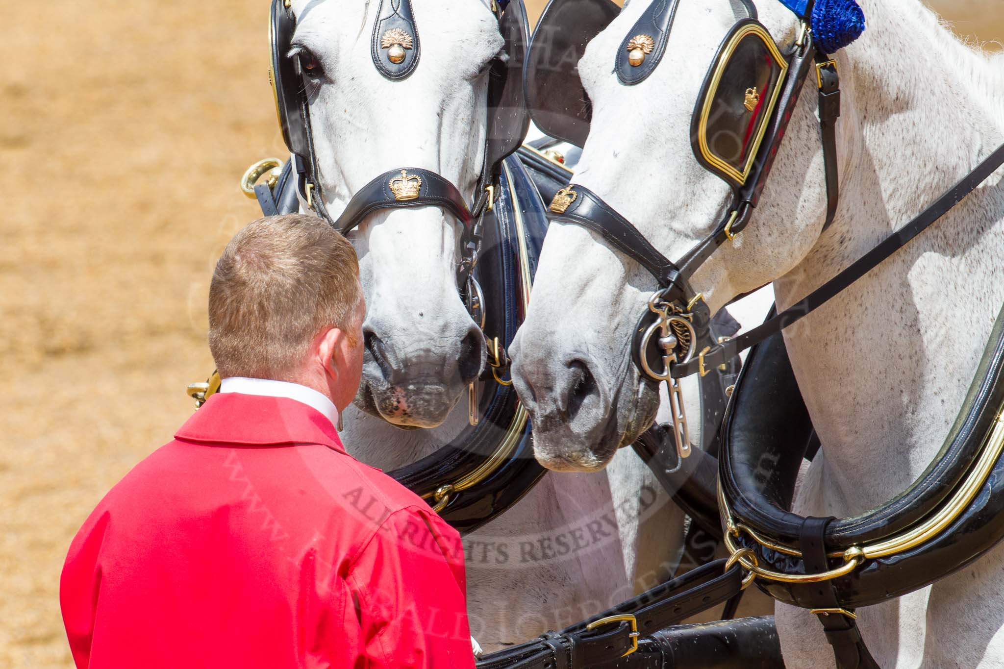 The Colonel's Review 2014.
Horse Guards Parade, Westminster,
London,

United Kingdom,
on 07 June 2014 at 12:08, image #712