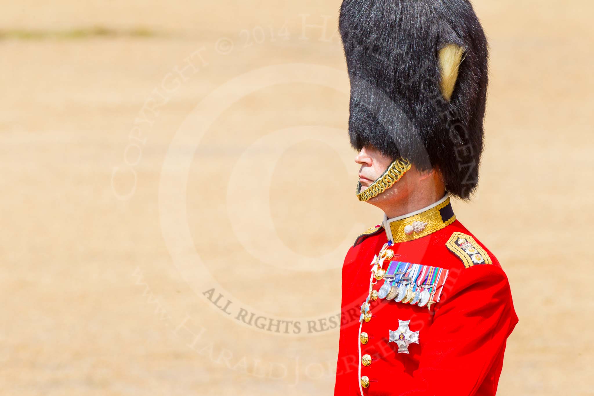 The Colonel's Review 2014.
Horse Guards Parade, Westminster,
London,

United Kingdom,
on 07 June 2014 at 12:08, image #715