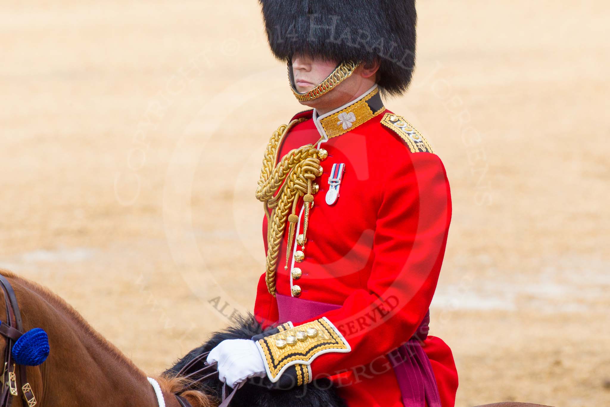 The Colonel's Review 2014.
Horse Guards Parade, Westminster,
London,

United Kingdom,
on 07 June 2014 at 12:09, image #717