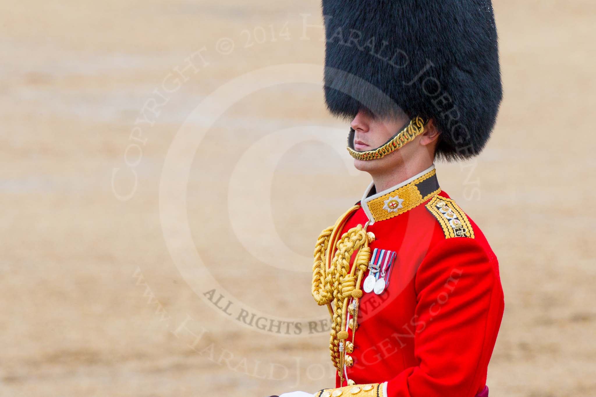 The Colonel's Review 2014.
Horse Guards Parade, Westminster,
London,

United Kingdom,
on 07 June 2014 at 12:09, image #718