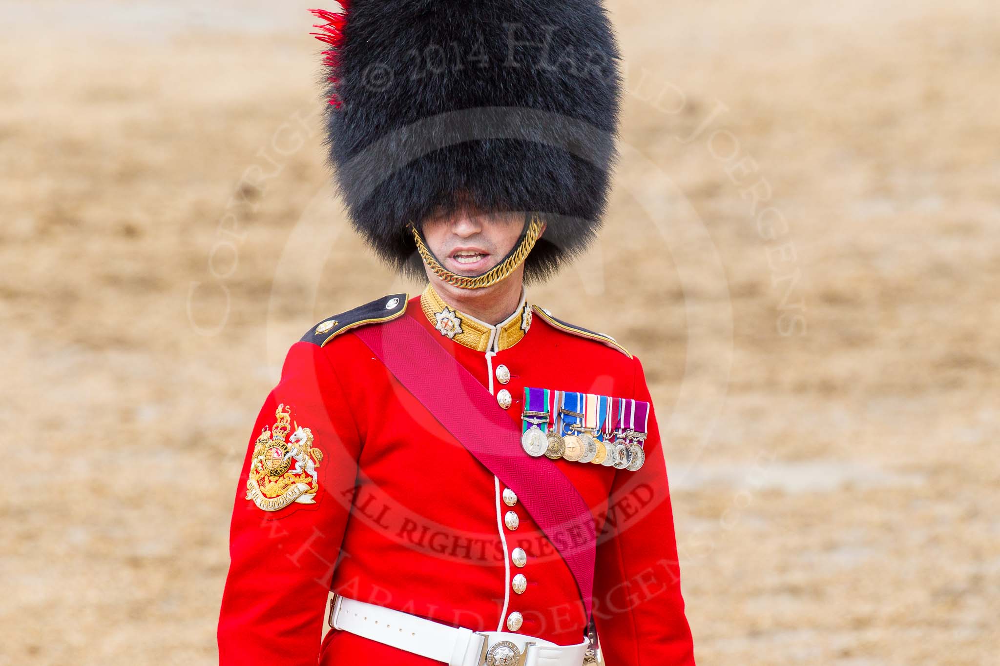 The Colonel's Review 2014.
Horse Guards Parade, Westminster,
London,

United Kingdom,
on 07 June 2014 at 12:15, image #738