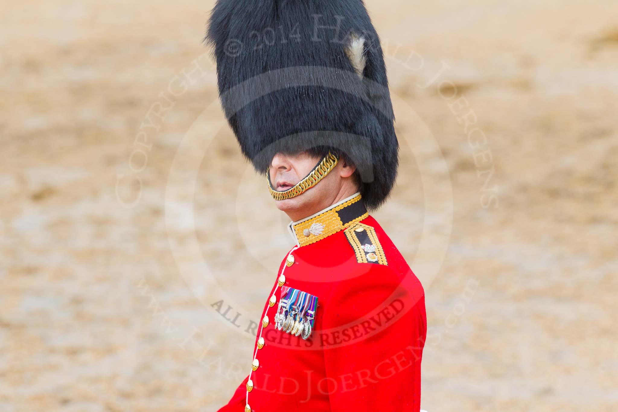 The Colonel's Review 2014.
Horse Guards Parade, Westminster,
London,

United Kingdom,
on 07 June 2014 at 12:15, image #739