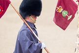 The Colonel's Review 2014.
Horse Guards Parade, Westminster,
London,

United Kingdom,
on 07 June 2014 at 09:31, image #7