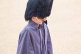The Colonel's Review 2014.
Horse Guards Parade, Westminster,
London,

United Kingdom,
on 07 June 2014 at 09:50, image #22