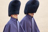 The Colonel's Review 2014.
Horse Guards Parade, Westminster,
London,

United Kingdom,
on 07 June 2014 at 09:50, image #24