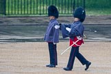 The Colonel's Review 2014.
Horse Guards Parade, Westminster,
London,

United Kingdom,
on 07 June 2014 at 10:08, image #62