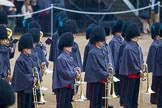 The Colonel's Review 2014.
Horse Guards Parade, Westminster,
London,

United Kingdom,
on 07 June 2014 at 10:11, image #67