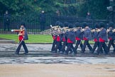The Colonel's Review 2014.
Horse Guards Parade, Westminster,
London,

United Kingdom,
on 07 June 2014 at 10:13, image #72